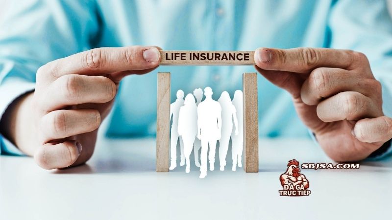 Cập nhật điều kiện điều khoản và những vấn đề cần lưu ý