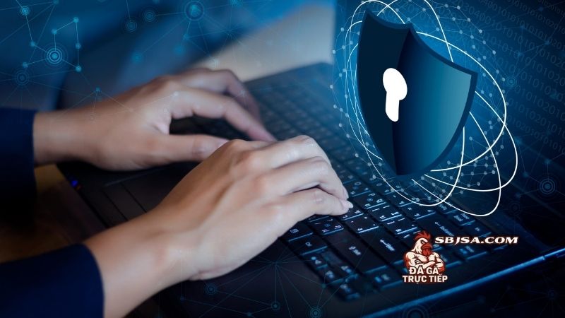 Chính sách bảo mật của website và những nội dung cập nhật mới nhất