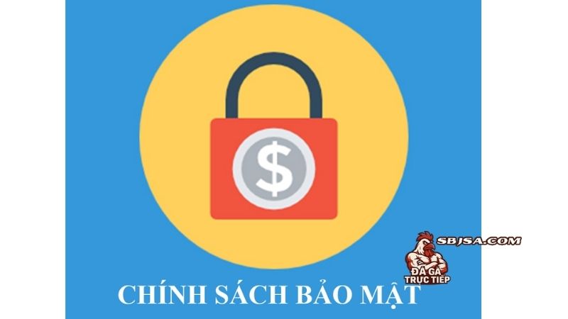 Chính sách bảo mật và tầm quan trọng không thể thiếu trong hoạt động website