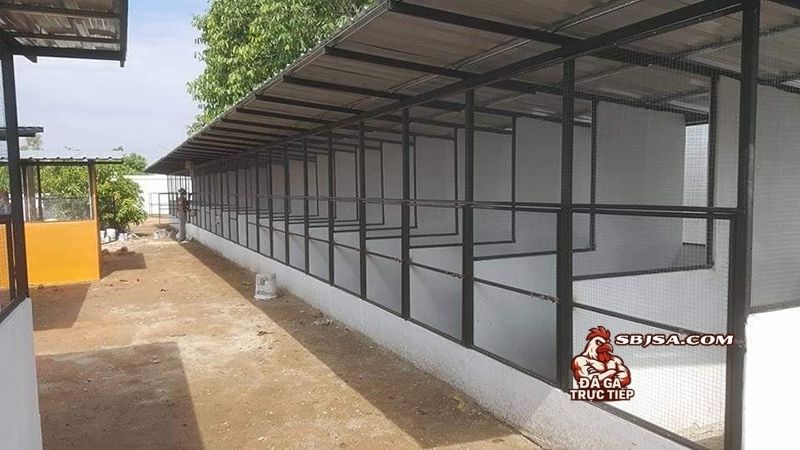 Chuồng gà chọi thông thoáng và cách duy trì, vệ sinh mỗi ngày