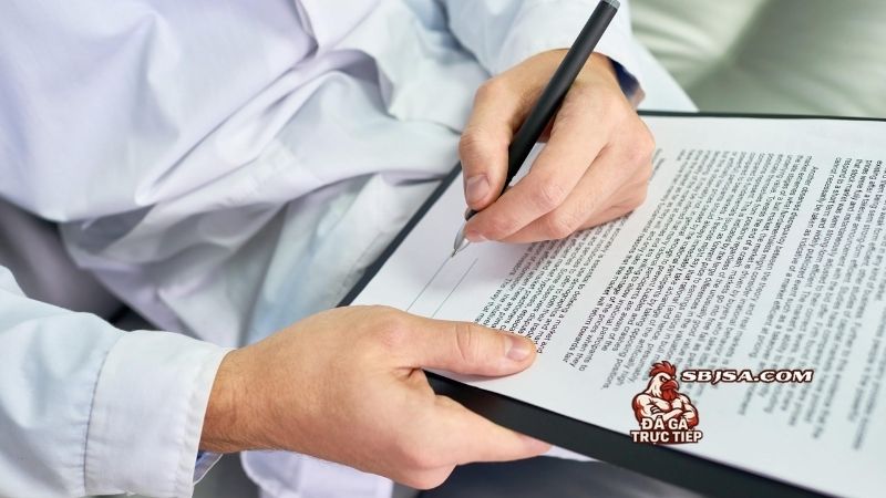 Điều kiện điều khoản về quyền lợi và trách nhiệm của hệ thống