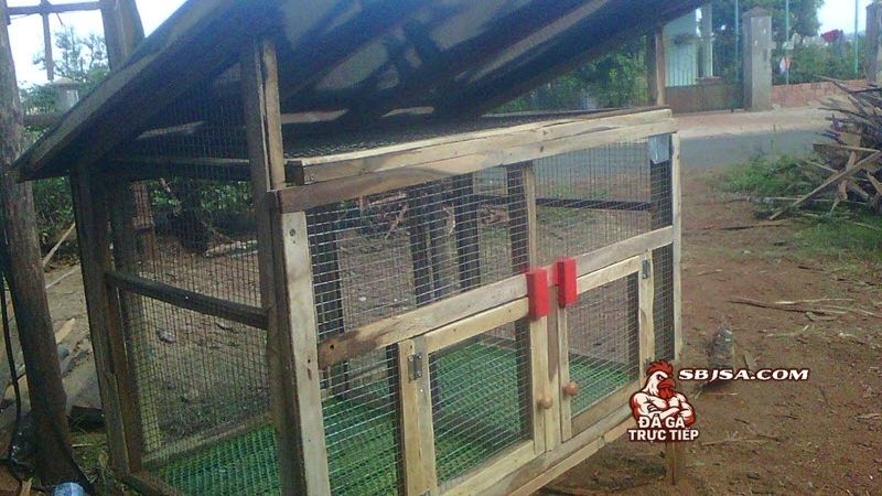 Làm chuồng gà chọi đơn giản vẫn có thể đạt hiệu quả cao