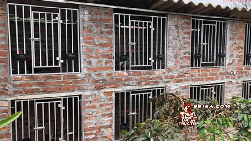 làm chuồng gà chọi đơn giản