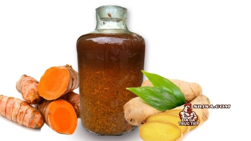 Om bóp gà chọi bằng rượu nghệ