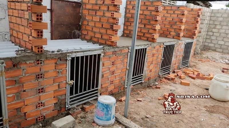 Phương pháp thiết kế chuồng nuôi gà đá vừa vệ sinh, vừa thông thoáng