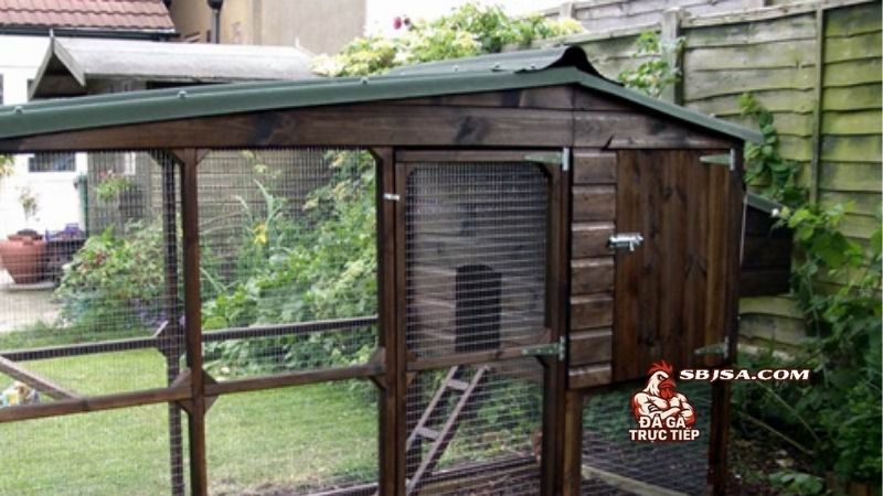 Xây chuồng gà chọi đạt chuẩn